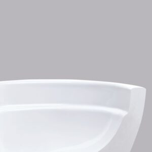 Geberit Icon